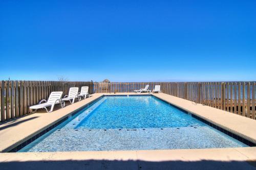 Roseate Spoonbill Lv139