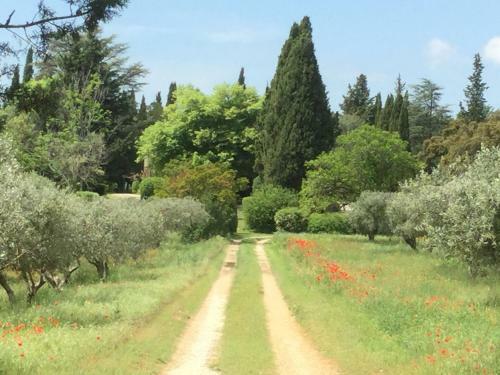 Domaine De Casteuse,lourmarin Cottage