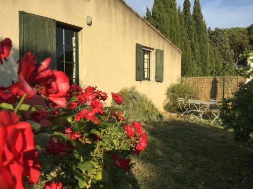 Domaine De Casteuse,lourmarin Cottage