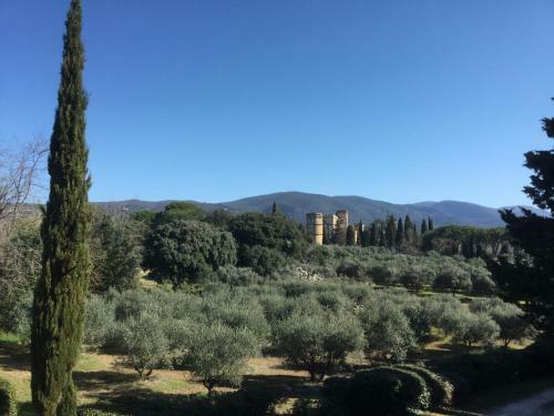 Domaine De Casteuse,lourmarin Cottage