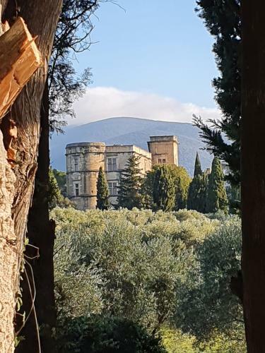 Domaine De Casteuse,lourmarin Cottage