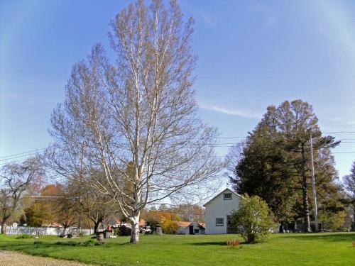 The 1810 Juliand House Bed & Breakfast
