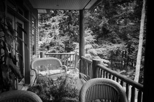 Bed & Breakfast The Fern Lodge