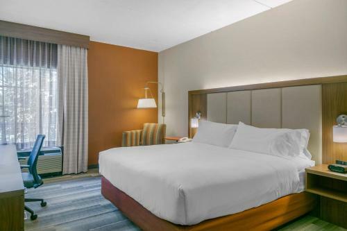 Hotel Holiday Inn Express Mount Arlington