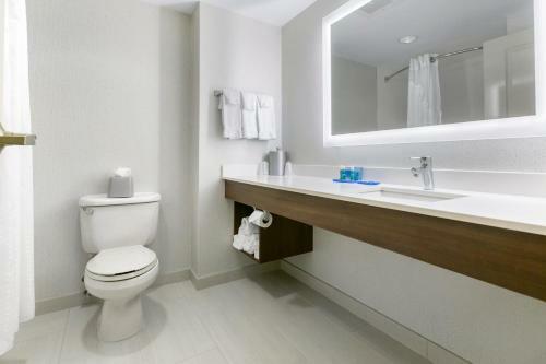 Hotel Holiday Inn Express Mount Arlington