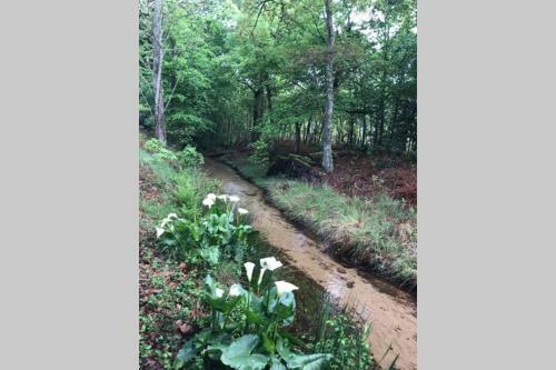 Spa Et D�tente Au C?ur de La For�t Des Landes