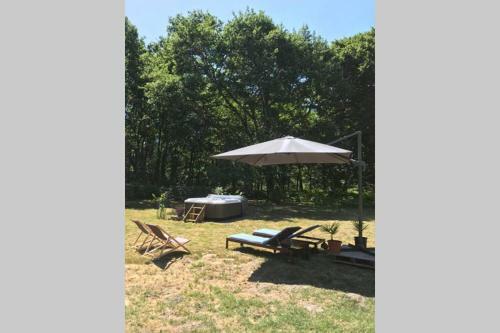 Spa Et D�tente Au C?ur de La For�t Des Landes
