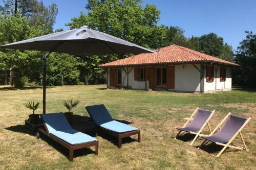 Spa Et D�tente Au C?ur de La For�t Des Landes