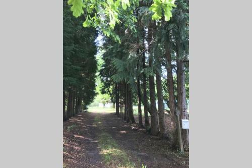 Spa Et D�tente Au C?ur de La For�t Des Landes