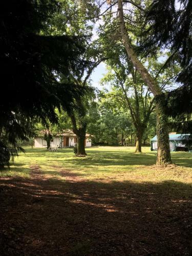 Spa Et D�tente Au C?ur de La For�t Des Landes