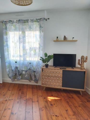 Apartamento Le Jungle--hyper Centre--tout Confort--wifi