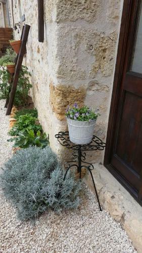 Le Petit Coin - Lpc Dordogne Holidays