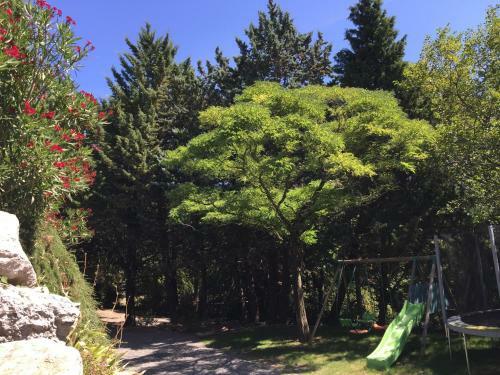 Bed & Breakfast Gite Et Chambres D'hotes "la Bergerie"