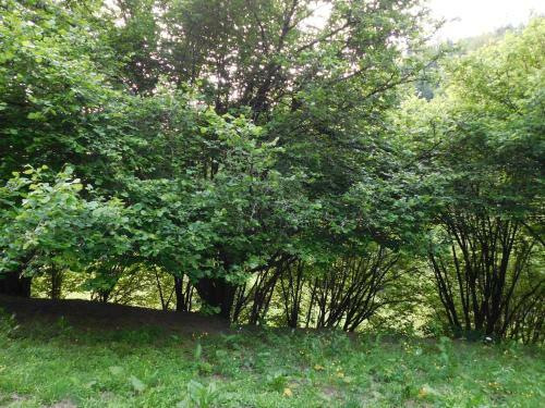 G�te L'�cole Est Finie