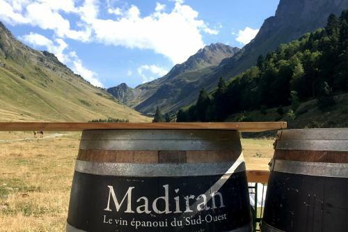 G�te, Jacuzzi & Vin Au Grenier De Madiran