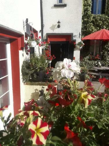 Bed & Breakfast Sunset House Chambres De Hotes