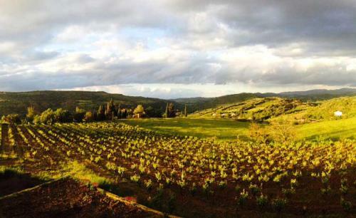 G�te Vigneron Du Domaine D'alon