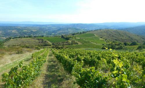 G�te Vigneron Du Domaine D'alon