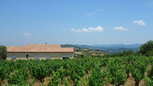 G�te Vigneron Du Domaine D'alon
