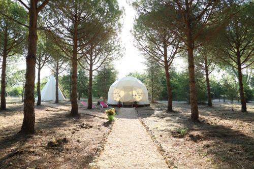 � Campement Des Possibles