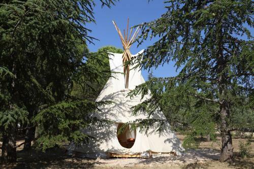 � Campement Des Possibles