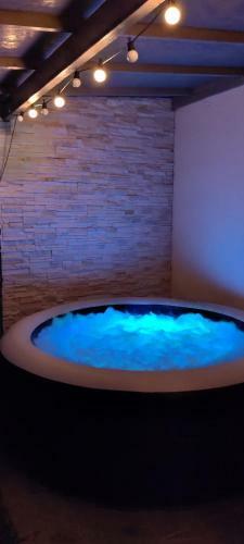 Tropical Room Pr�s De Disneyland