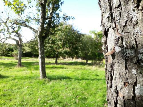 Bed & Breakfast Terre De R�veries