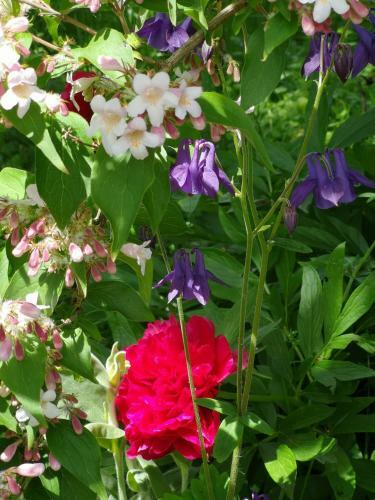 La Malinette B&b, Calme Et Authenticit�