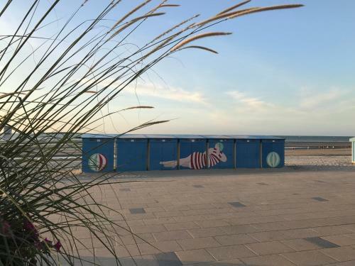 Apartamento La M�ridienne Des Dunes