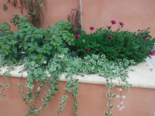 Apartamentos Appartement Le Romarin