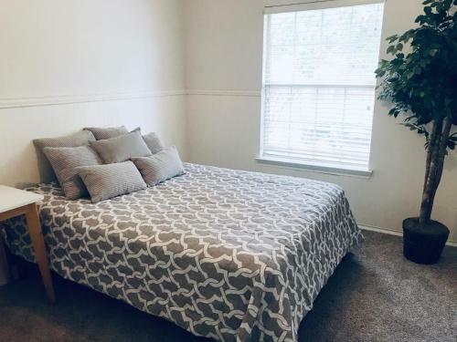 Frisco 3b/2b Home Nears Stonebriar Mall , Bright High Ceiling, Newly Upgraded