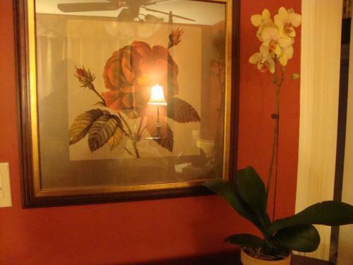 Arbor View House Bed And Breakfast