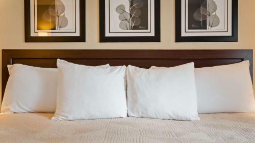 Hotel Best Western Silver Fox Inn