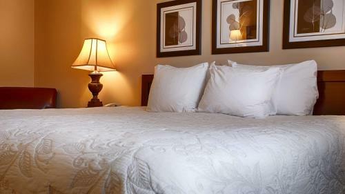 Hotel Best Western Silver Fox Inn