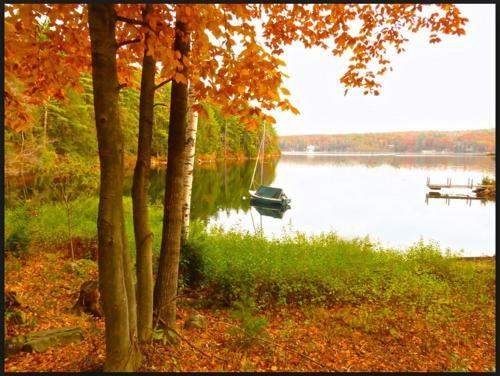 The Cottages Of Wolfeboro