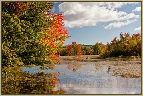 The Cottages Of Wolfeboro