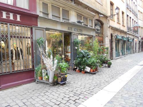 Apartamento G�te Du Vieux Lyon
