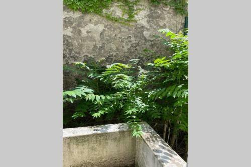 Apartamento Appartement Chic & Cozy Lyon Centre