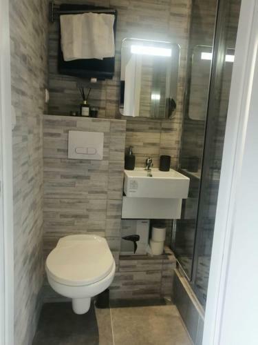 Apartamento Studio Mer Gare Part Dieu
