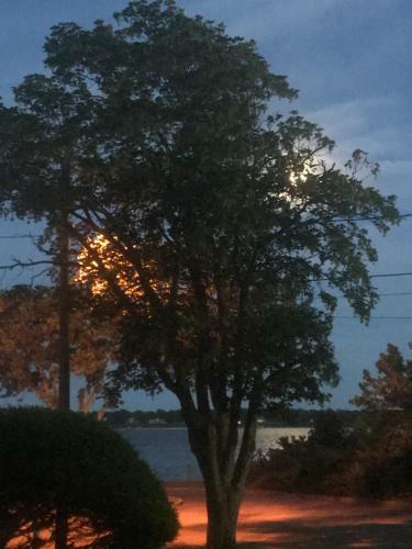 The Stirling House B&B Greenport
