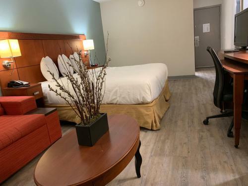 The Hotel Orange