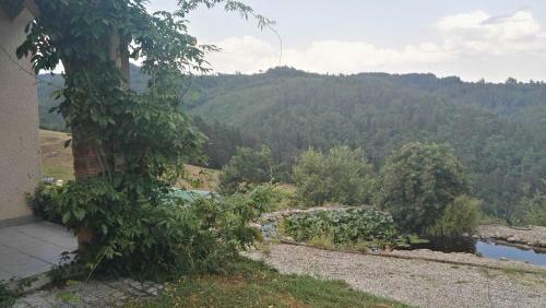 Hostal Chambres D'h�tes De Malvalette