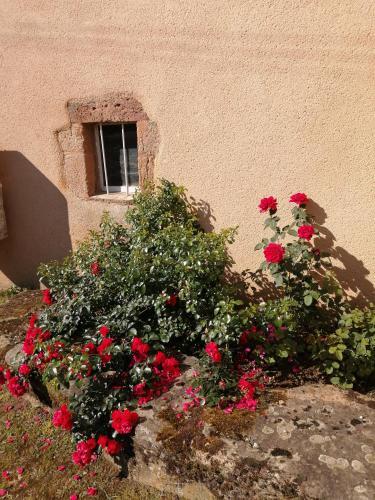 La Maison Des Rosiers