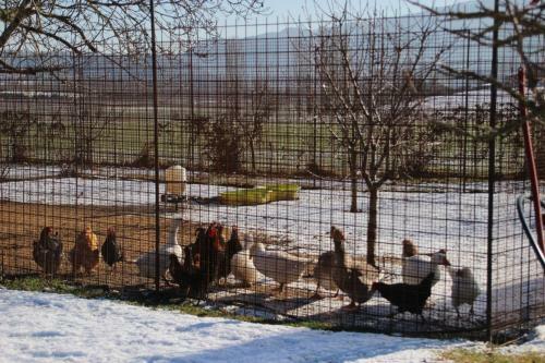 Hostal La Campagne Prama�sse