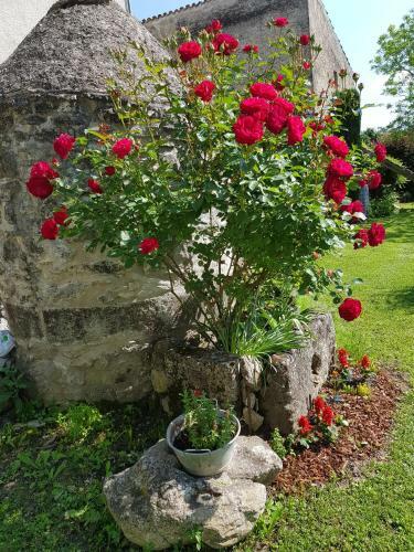 Grange Vout�e Avec Jardin