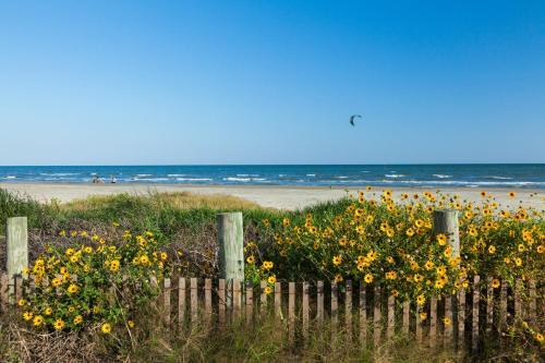 Royally Beachy