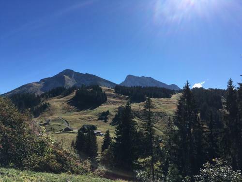 Apartamento Studio Cosy En Haute Savoie