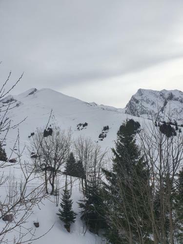 Apartamento Appartement Combes Blanche 2