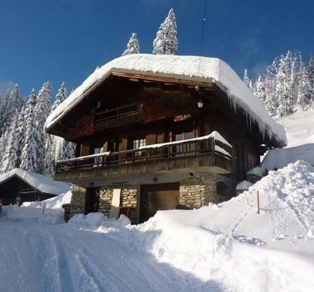 Chalet L'oree Du Bois