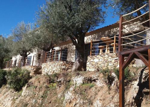 Bed & Breakfast L'oliveraie Du Fango